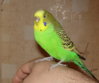DSC07234.JPG