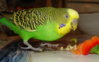 DSC07242.JPG