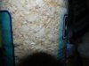 DSCN1562.JPG