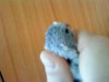 DSC04324.JPG