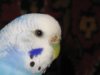 IMG_10306.jpg