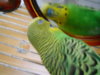 DSCN7098.JPG