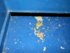DSCN7102.JPG