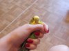 DSCN1433.jpg