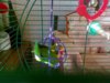 27082011294.jpg