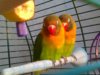 27082011322.jpg