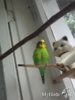 ____11_0804.jpg
