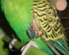 DSCN2712hh.jpg