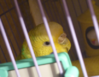 Безымянный.png