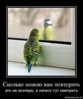 зоопарк.jpg