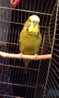 IMAG0156.jpg