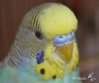 DSC_0943.JPG