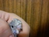 DSC00085.jpg