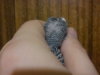 DSC00081.jpg