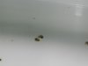 DSCN5477.JPG
