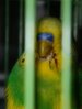 DSCN5483.JPG