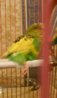 DSCN0288.JPG