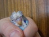 DSC00116.jpg