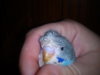 DSC00109.jpg