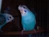DSC00098.jpg