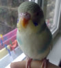 1202201272411.jpg