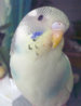 120220127321111.jpg