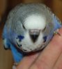 DSC_7950.JPG