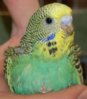 DSC_8110.JPG