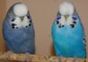 DSC_7371.JPG
