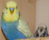 DSC_7405.JPG