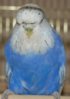 DSC_7430.JPG