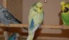 DSC_7437.JPG