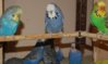DSC_7450.JPG