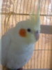18032012520.jpg