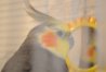 DSC_1693.JPG