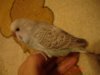 DSC08864.JPG