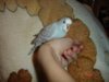 DSC08844.JPG