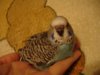 DSC08855.JPG
