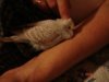 DSC08867.JPG