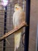 DSCN4119.jpg