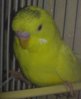 050420121355.jpg