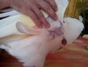 20120601_173829.jpg