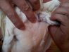 20120601_173916.jpg
