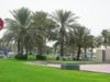 DSCN0931.JPG
