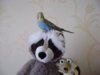 DSC01591.JPG