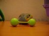 DSC01612.JPG