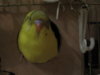 _var_www_s1_temp_12_181_21_XrdWYfzqjcy7DGpa.jpg