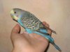 DSC09422.JPG