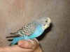 DSC09423.JPG