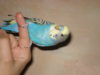 DSC09424.jpg
